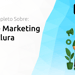 Curso de Marketing Digital Alura: Seu Guia Completo
